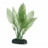 Hobby Aponogeton, 16 cm