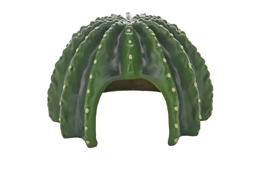 Hobby Cactus Home 4