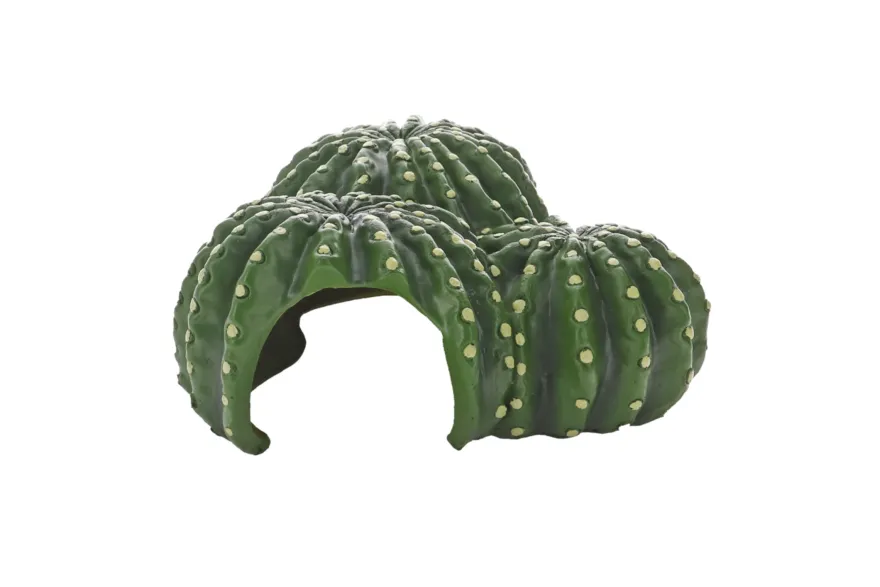 Hobby Cactus Home 1