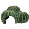 Hobby Cactus Home 6