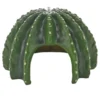 Hobby Cactus Home 3