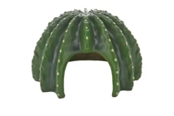 Hobby Cactus Home 2