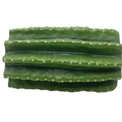 Hobby Cactus Tube 2, Aquarien - & Terrarienhöhle, 18,5 x 11 x 9,5 cm