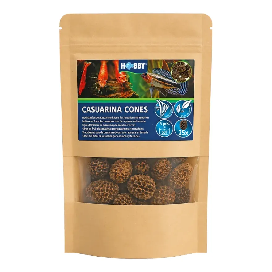 Hobby Casuarina Cones, Kasuarinen-Zapfen, 25 Stück