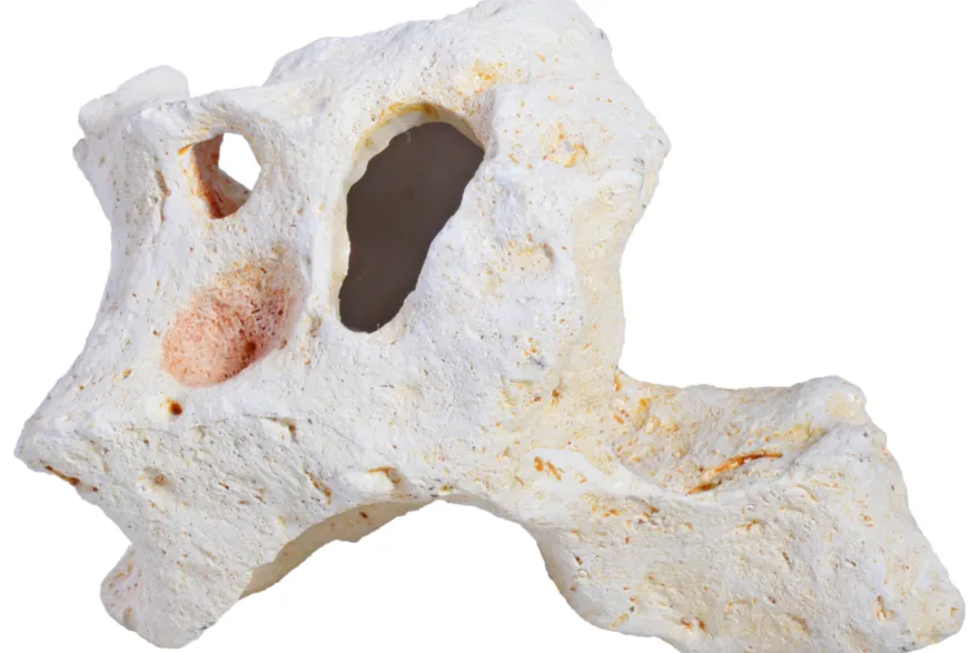 Hobby Cavity Rock 4 (15,5 × 9,5 × 8 cm)