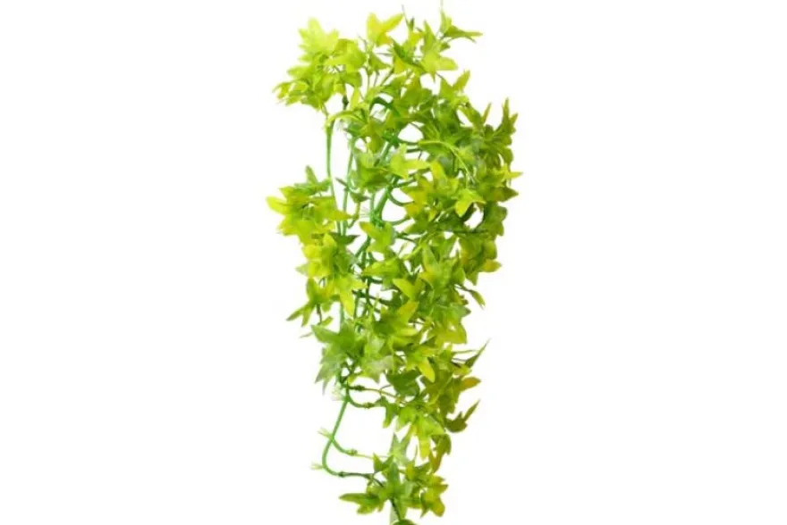 Hobby Climber Ivy, 37 cm