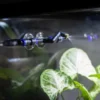 Hobby Easy Rain Mini, kompakte Beregnungsanlage