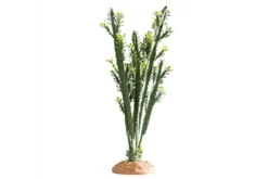 Hobby Euphorbia L, Kunstpflanze