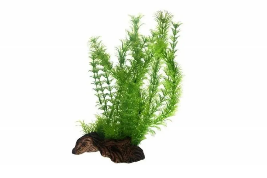 Hobby Flora Root 3, 30 cm