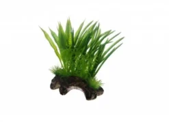 Hobby Flora Root 2, 17 cm