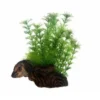 Hobby Flora Root 3, 17 cm