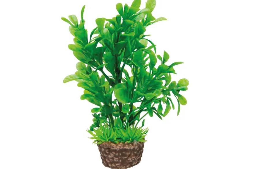 Hobby Flora Stone 3