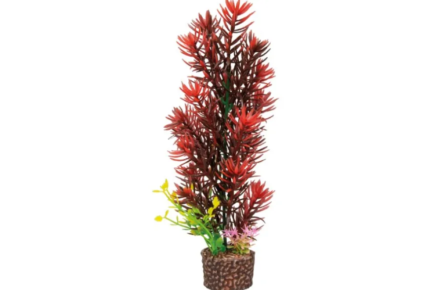 Hobby Flora Stone 8