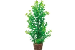 Hobby Flora Stone 6