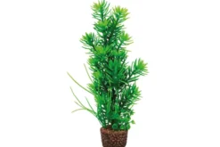 Hobby Flora Stone 5