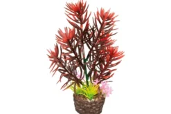 Hobby Flora Stone 2