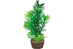Hobby Flora Stone 1