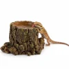 Hobby Forest Stump, Trinkschale und Pflanztopf, 14 x 12,5 x 10 cm