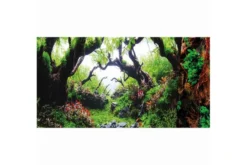 Hobby Fotorückwandzuschnitt Green Dream/Wooden Sky, 120 cm x 50 cm