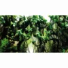Hobby Fotorückwandzuschnitt Pearl River/Deep Delta, 120 cm x 50 cm