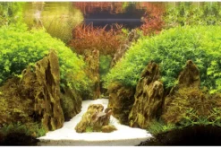Hobby Fotorückwandzuschnitt Canyon/Woodland, 100 cm x 50 cm