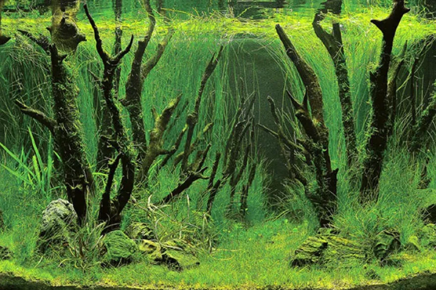 Hobby Fotorückwandzuschnitt Canyon/Woodland, 60 cm x 30 cm