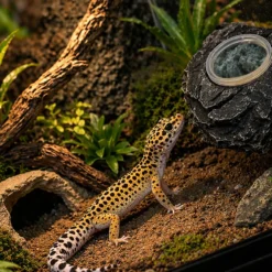 Hobby Gecko Station S, magnetischer Futterplatz für Geckos