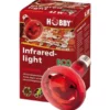 Hobby Infraredlight Eco, 70 Watt