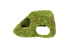 Hobby Jungle Cave 4
