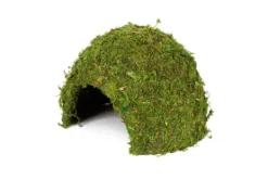 Hobby Jungle Cave 3