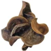 Hobby Jungle Star Flowers, Sterculia, 25 Stück