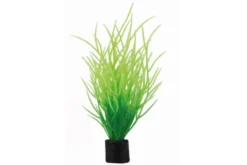 Hobby Lilaeopsis mini Kunstpflanze