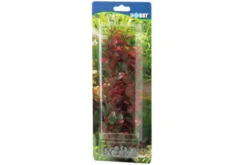 Hobby Ludwigia, 60 cm