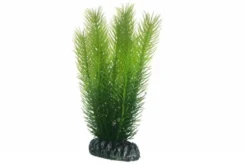 Hobby Mayaca, 16 cm