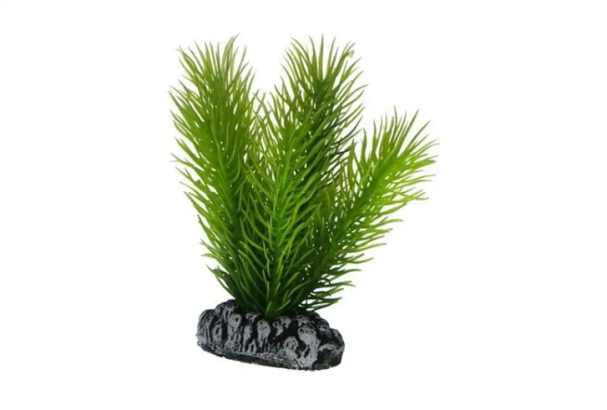 Hobby Mayaca, 7 cm