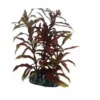 Hobby Nesaea, 13 cm