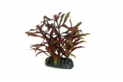 Hobby Nesaea, 7 cm