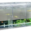 Hobby Nido 5, externer Ablaichbehälter mit Sauerstoffversorgung