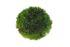Hobby Plant Ball, 9 cm