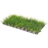 Hobby Plant Mat 1, 12,5 x 25 cm