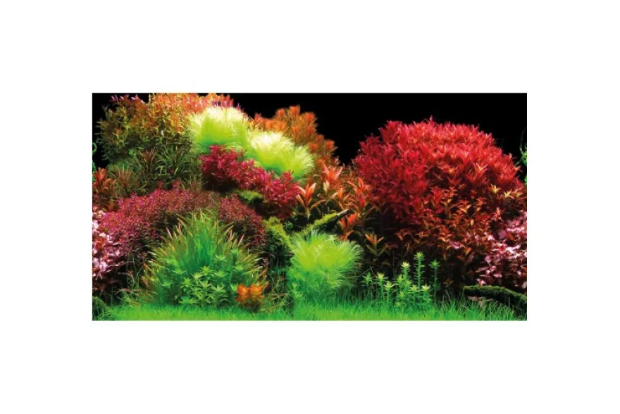 Hobby Rückwandfolie Ocean/Ruby Lake, 100 cm x 50 cm, selbstklebend