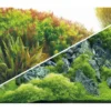 Hobby Rückwandfolie Planted River/Green Rocks, 100 cm x 50 cm