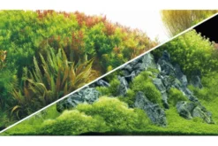 Hobby Rückwandfolie Planted River/Green Rocks, 100 cm x 50 cm