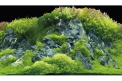 Hobby Rückwandfolie Planted River/Green Rocks, 100 cm x 50 cm