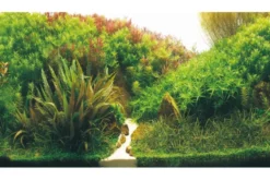 Hobby Rückwandfolie Planted River/Green Rocks, 100 cm x 50 cm