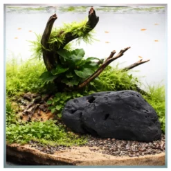 Hobby River Rock 4, 21,5 × 16 × 22,5 cm