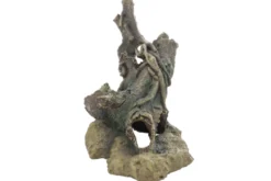 Hobby River Root 1, 33,5 × 25 × 17 cm