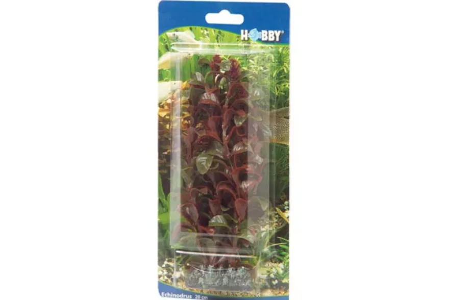 Hobby Rotala, 16 cm