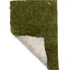 Hobby Terrano Moos, 100g