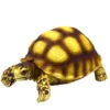 Hobby Turtle 2